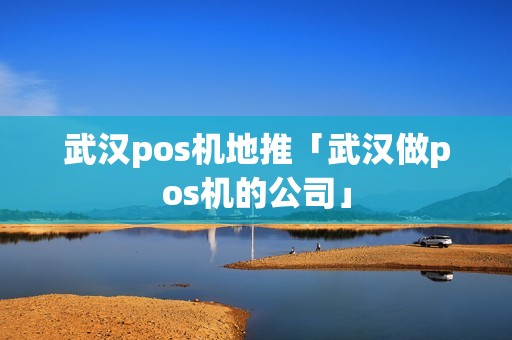 武汉pos机地推「武汉做pos机的公司」