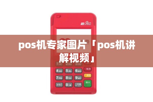 pos机专家图片「pos机讲解视频」