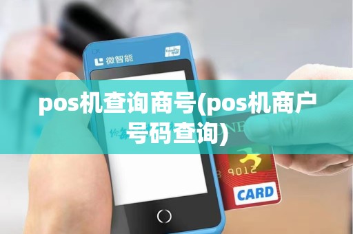 pos机查询商号(pos机商户号码查询)