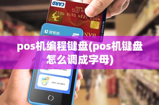 pos机编程键盘(pos机键盘怎么调成字母) pos机编程键盘(pos机键盘怎么调成字母)