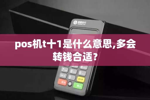 pos机t十1是什么意思,多会转钱合适? pos机t十1是什么意思,多会转钱合适?