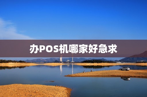 办POS机哪家好急求 办POS机哪家好急求