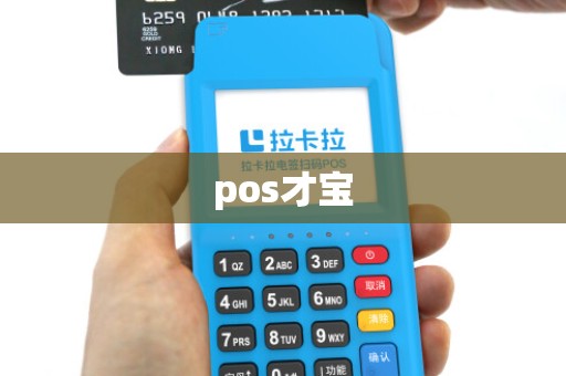 pos才宝 pos才宝