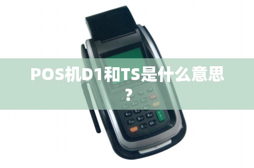 POS机D1和TS是什么意思？