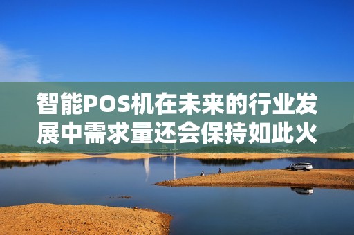 智能POS机在未来的行业发展中需求量还会保持如此火爆...