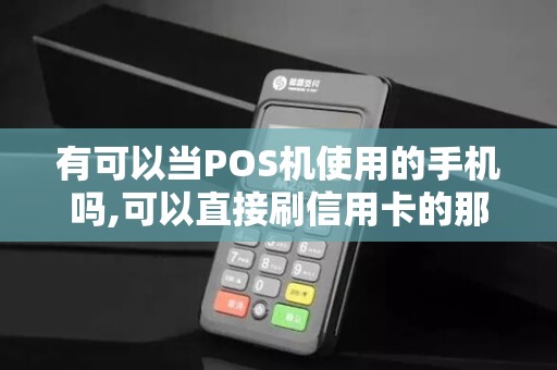 有可以当POS机使用的手机吗,可以直接刷信用卡的那l种 有可以当POS机使用的手机吗,可以直接刷信用卡的那l种