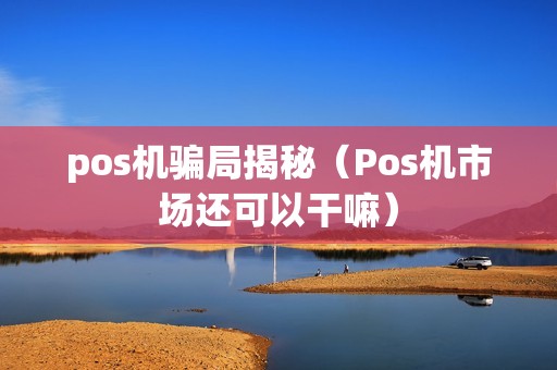pos机骗局揭秘(Pos机市场还可以干嘛) pos机骗局揭秘(Pos机市场还可以干嘛)