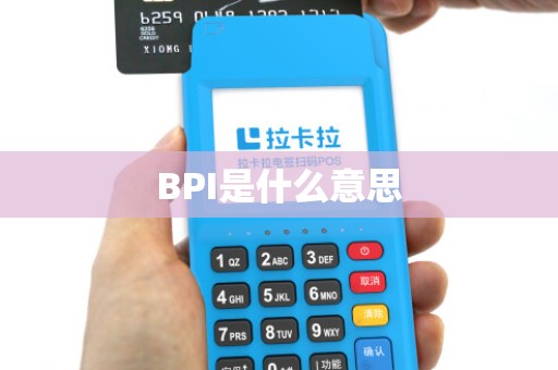 BPI是什么意思