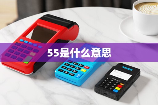 55是什么意思