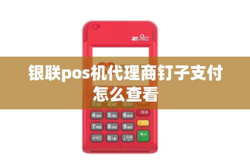 银联pos机代理商钉子支付怎么查看 银联pos机代理商钉子支付怎么查看