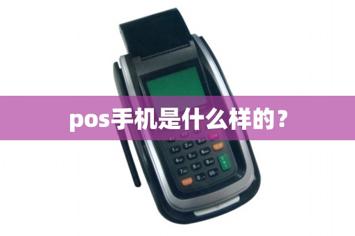 pos手机是什么样的? pos手机是什么样的?