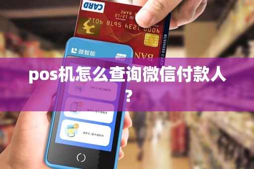 pos机怎么查询微信付款人? pos机怎么查询微信付款人?