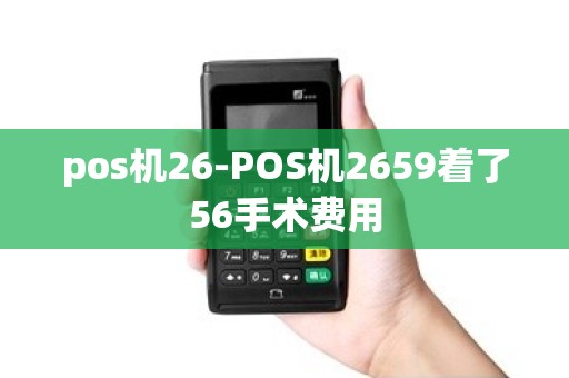 pos机26-POS机2659着了56手术费用