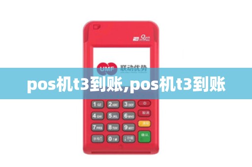 pos机t3到账,pos机t3到账