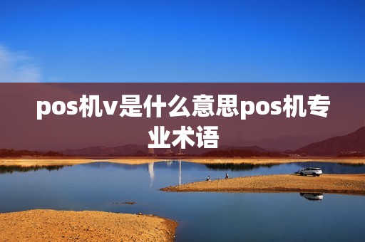 pos机v是什么意思pos机专业术语
