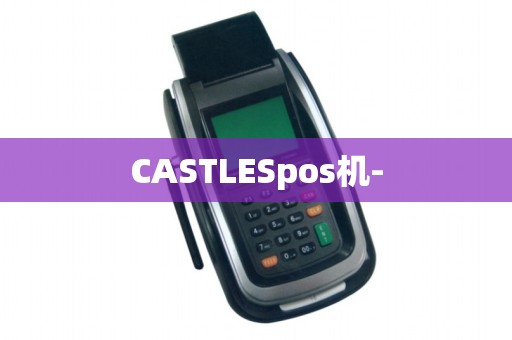 CASTLESpos机-