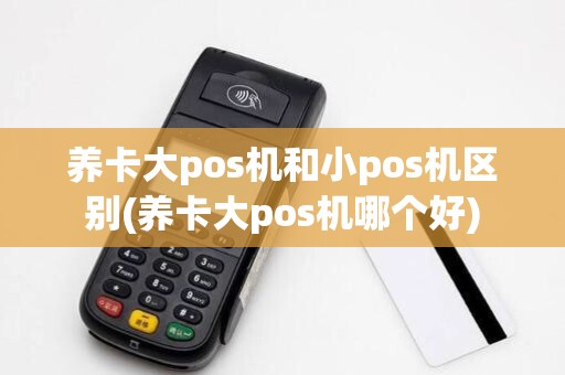 养卡大pos机和小pos机区别(养卡大pos机哪个好)