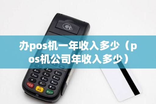 办pos机一年收入多少（pos机公司年收入多少）