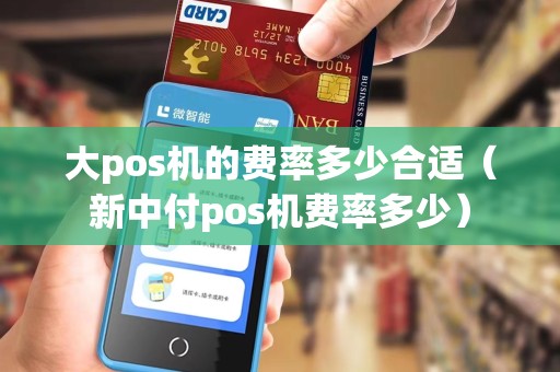 大pos机的费率多少合适（新中付pos机费率多少）