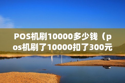 POS机刷10000多少钱（pos机刷了10000扣了300元）
