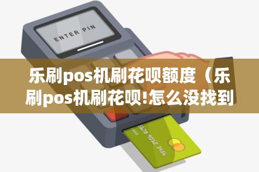 乐刷pos机刷花呗额度（乐刷pos机刷花呗!怎么没找到交易记录呢）