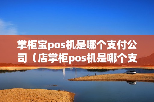掌柜宝pos机是哪个支付公司（店掌柜pos机是哪个支付公司）