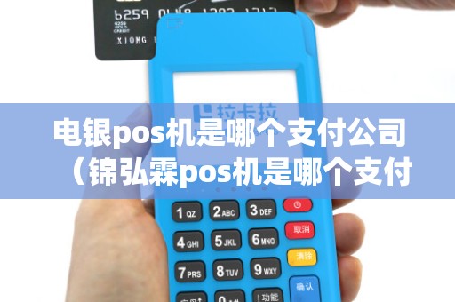 电银pos机是哪个支付公司（锦弘霖pos机是哪个支付公司的）