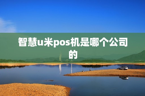智慧u米pos机是哪个公司的