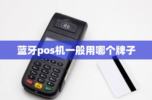 蓝牙pos机一般用哪个牌子