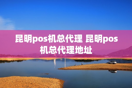 昆明pos机总代理 昆明pos机总代理地址