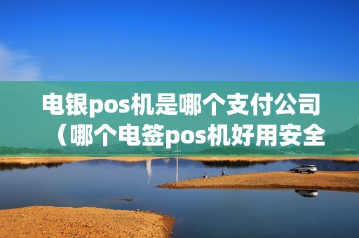 电银pos机是哪个支付公司（哪个电签pos机好用安全）