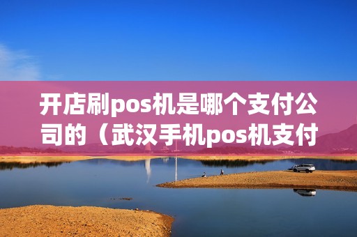 开店刷pos机是哪个支付公司的（武汉手机pos机支付哪个好）