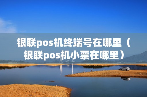 银联pos机终端号在哪里（银联pos机小票在哪里）
