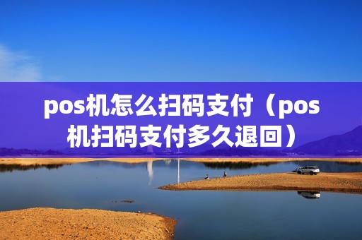 pos机怎么扫码支付（pos机扫码支付多久退回）