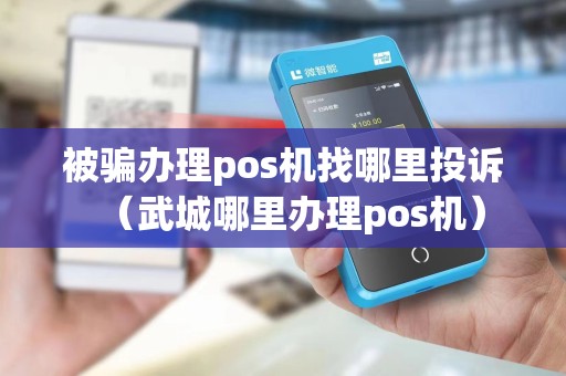 被骗办理pos机找哪里投诉（武城哪里办理pos机）