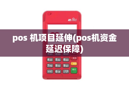 pos 机项目延伸(pos机资金延迟保障)