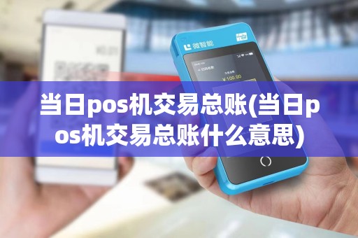 当日pos机交易总账(当日pos机交易总账什么意思)