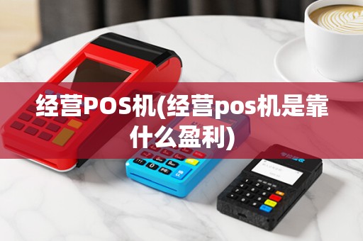 经营POS机(经营pos机是靠什么盈利)