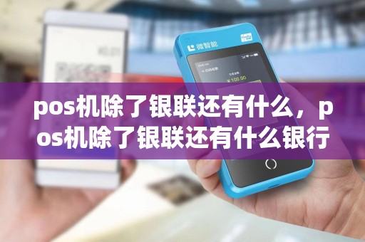 pos机除了银联还有什么，pos机除了银联还有什么银行