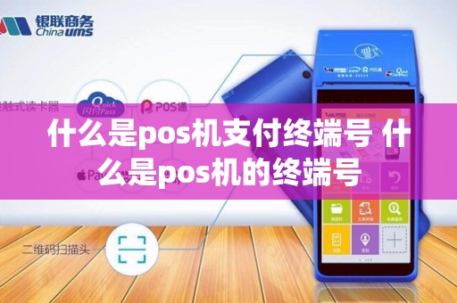 什么是pos机支付终端号 什么是pos机的终端号