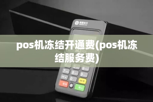 pos机冻结开通费(pos机冻结服务费)