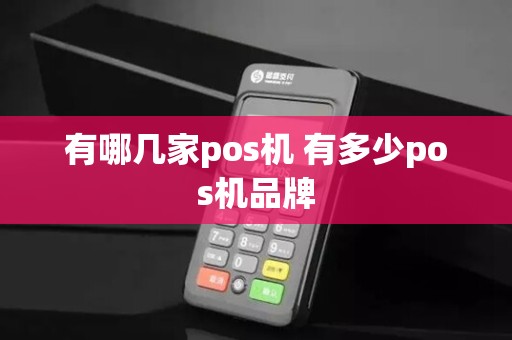 有哪几家pos机 有多少pos机品牌