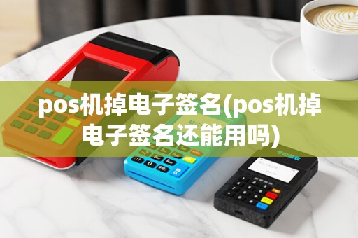 pos机掉电子签名(pos机掉电子签名还能用吗)