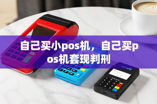 自己买小pos机，自己买pos机套现判刑