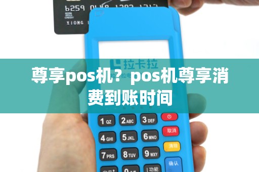 尊享pos机？pos机尊享消费到账时间