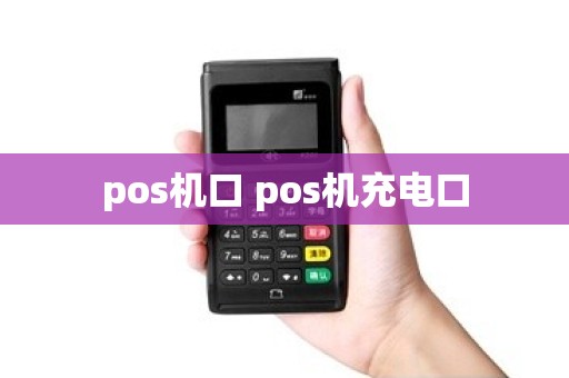 pos机口 pos机充电口