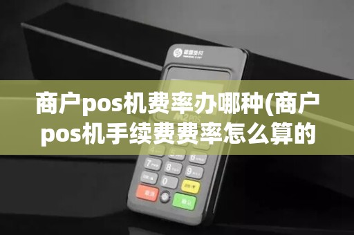 商户pos机费率办哪种(商户pos机手续费费率怎么算的)