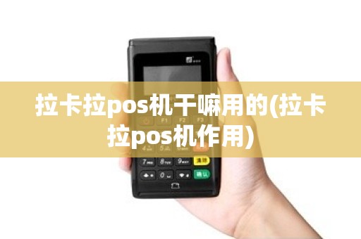 拉卡拉pos机干嘛用的(拉卡拉pos机作用)
