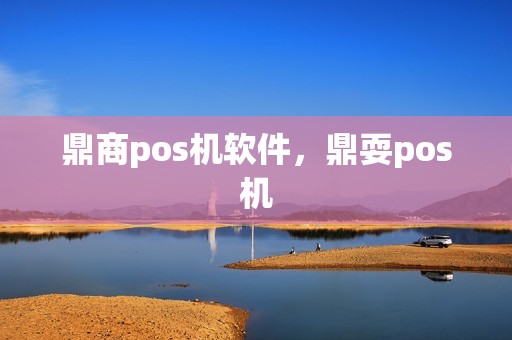 鼎商pos机软件，鼎耍pos机