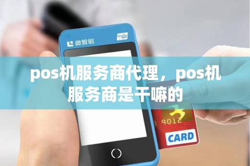 pos机服务商代理，pos机服务商是干嘛的